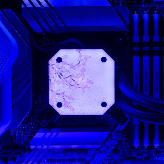 CORSAIR iCUE H115i Elite Capellix XT CPU Wasserkühler, Schwarz CPU