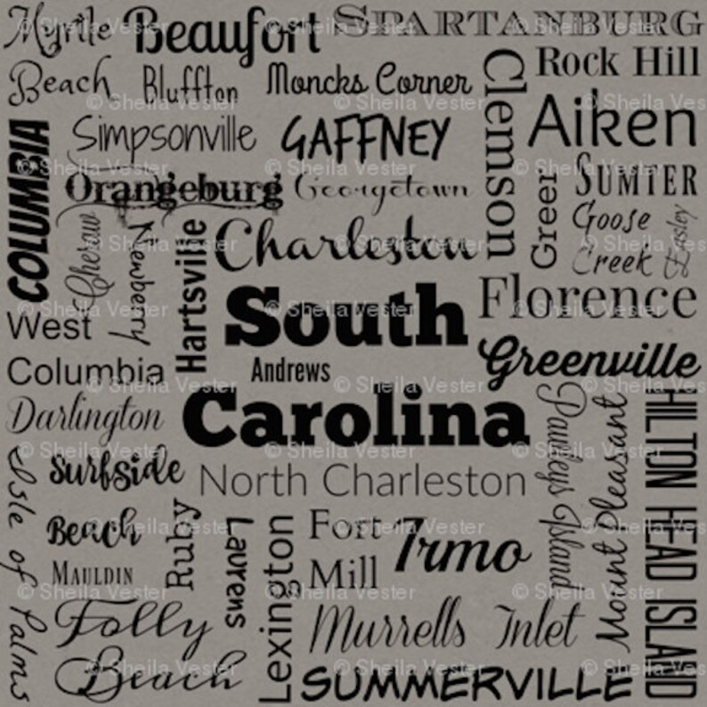 South Carolina Cities fabric teal and black by the yard gray and black