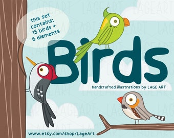 Birds Clipart / Illustration / Parakeet / Toucan / Cardinal / Finch / Robin / Quetzal / Instant Download / Digital Download / Commercial Use