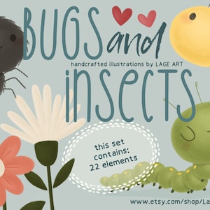 Bugs and Insects Clipart Set / Ant PNG / Cute Butterfly / Bee Illustration / Spider / Dragonfly / Digital Download / Commercial Use
