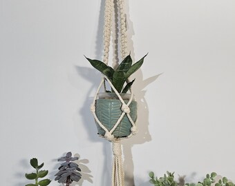 Cream plant hanger