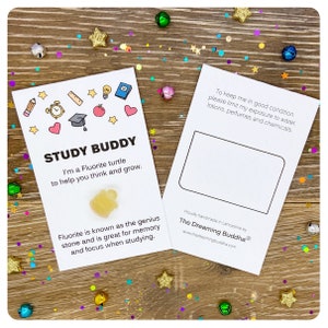 Student exam card with crystal turtle