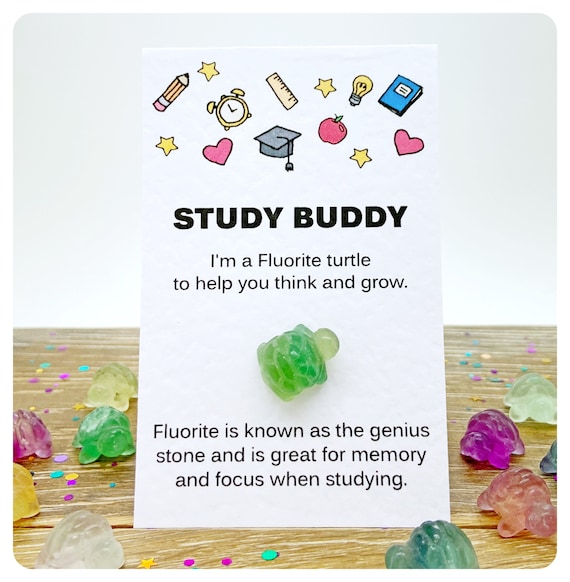 Student Good Luck Charm, Crystal Revision Gift, Exam Focus, Fluorite Gemstone Turtle, Study Buddy Greeting Card