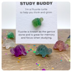 Close up image of cure fluorite turtle study aid