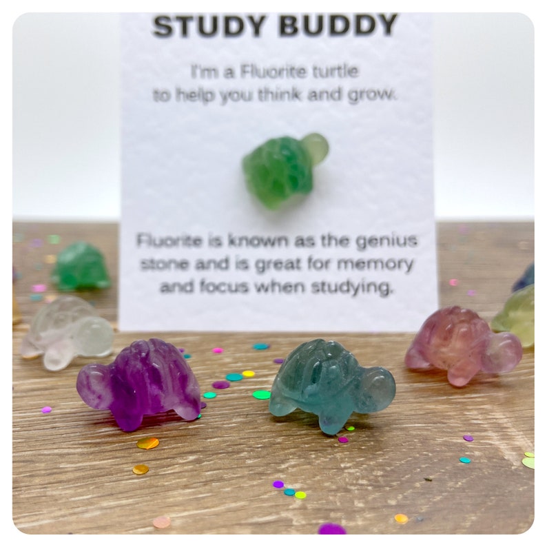 Close up image of cure fluorite turtle study aid