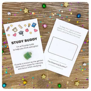 Green Fluorite turtle study card with area at the back for gift note