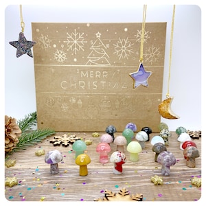 Crystal Mushroom Advent Calendar, Vegan Crystal Christmas Gift, Mushroom Lover Gift Set, Unique 12 Day Crystal Gemstone Christmas Countdown