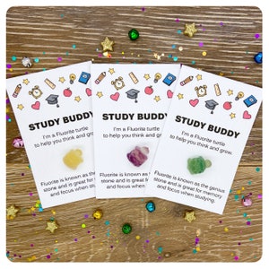 Multi pack of revision study gifts for students wholesale discounts