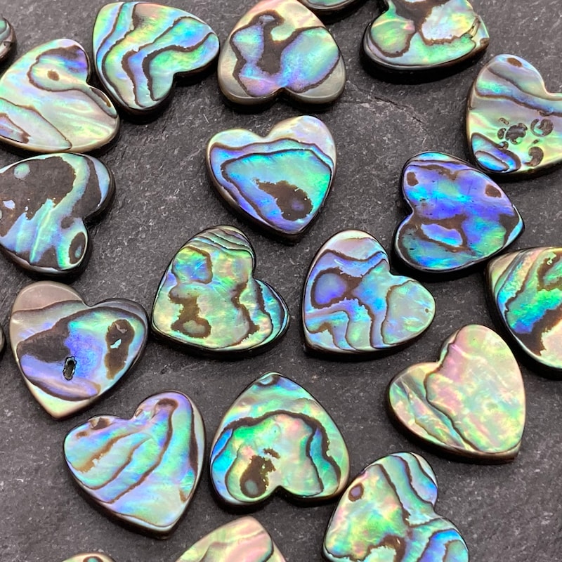 Abalone Shell Beads - Etsy