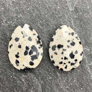 Faceted Dalmatian Jasper Beads: Teardrop Earring Pair, 18mm