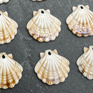 May include: Close-up of several ceramic seashell pendants. The pendants are off-white with brown and purple accents, and have a hole at the top for stringing. The shells are arranged on a dark gray surface.