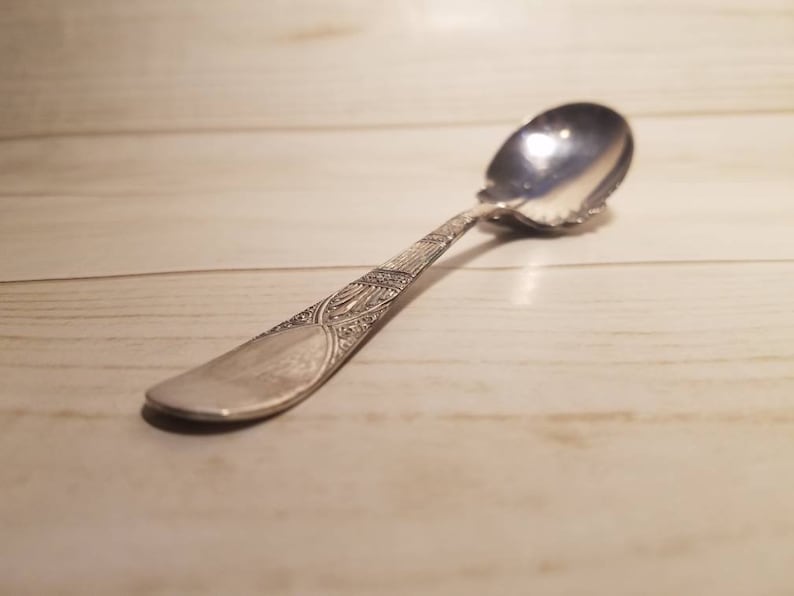 James W Tufts Victorian Silverplate Berry Spoon, Silver Plated Flatware, Unique Spoon Gift, 1800's Antique Spoon, Decorative Spoons image 1