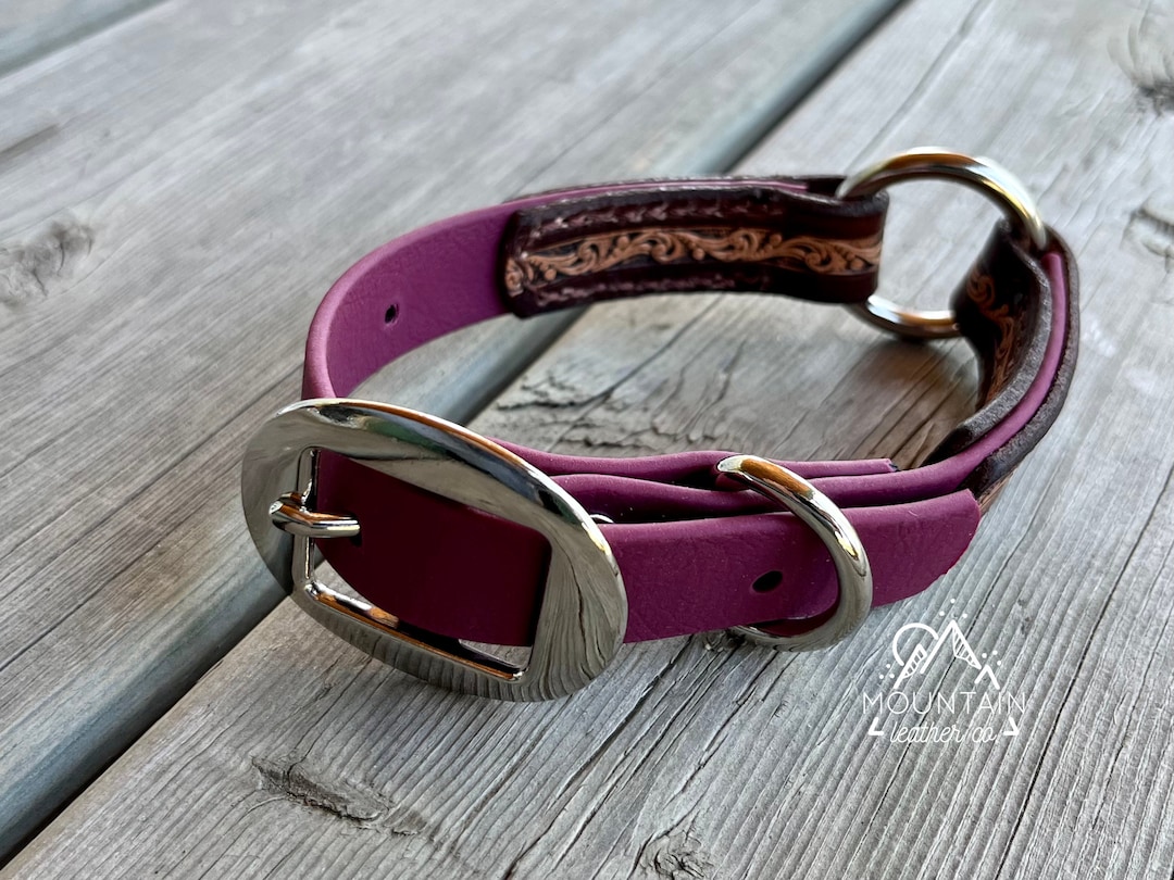 Biothane® and Leather Dog Collar Custom Personalized Tooled Etsy