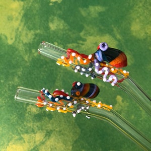 Glass straws rainbow octopus