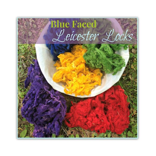 Blue Faced Leicester Locks, 100 g BFL Locks, Red Leicester Wool, Blue Curly Wool, Green Long locks, Yellow Bluefaced Leicester, Purple Wool