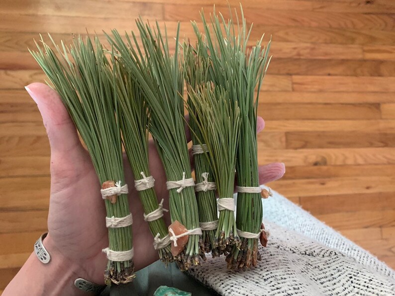 Ponderosa Pine Needle Broom with Orange/Yellow Mountain Quartz Etsy