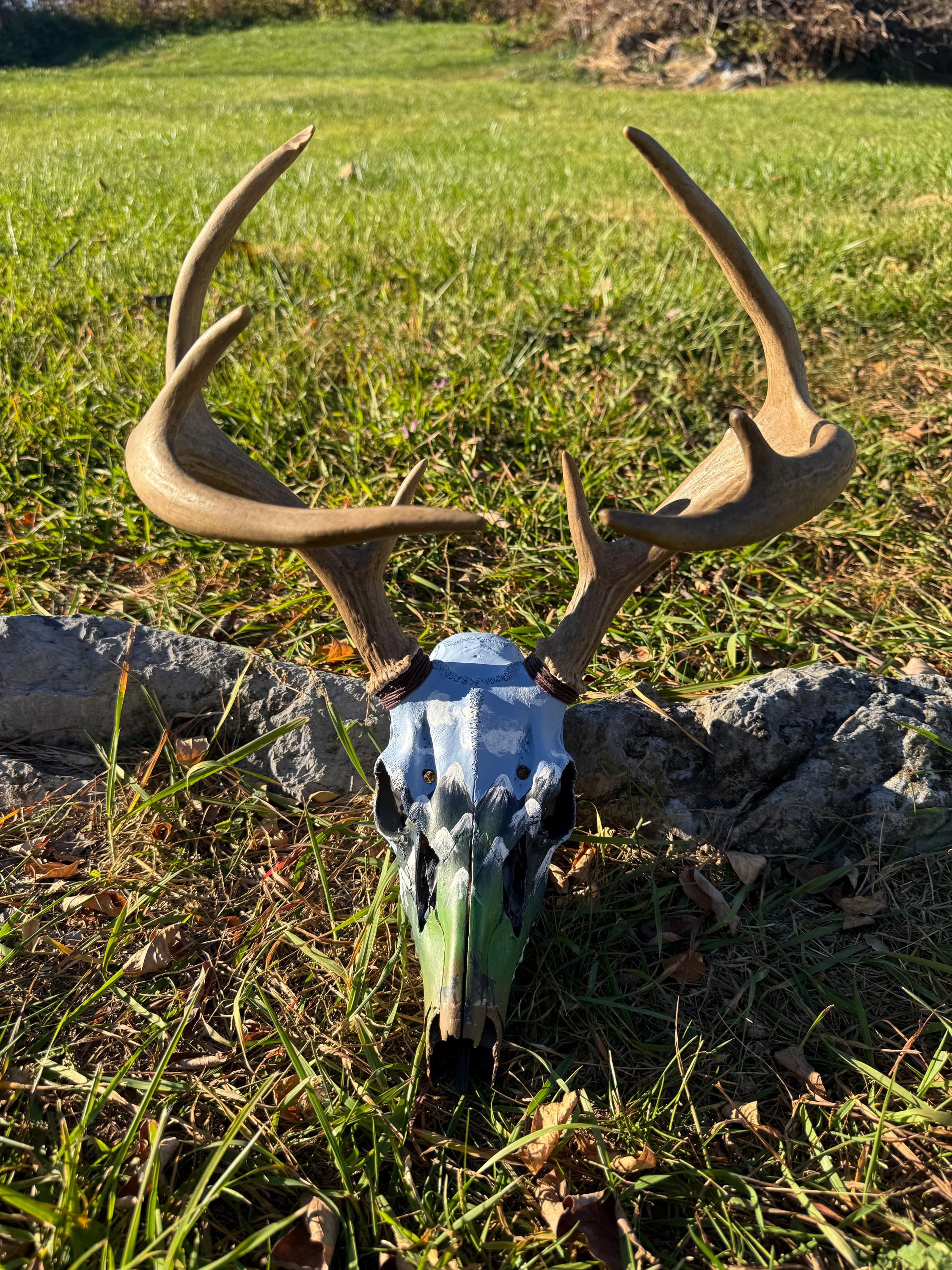 Painted Buck Skull - Etsy