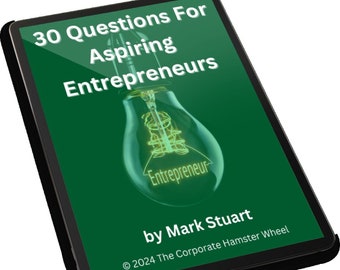 30 Questions For Aspiring Entrepreneurs (Digital Download) - A 51-Page Guide To Let You Know What's Involved In Working For Yourself