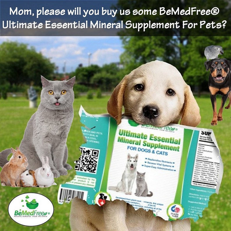May include: A group of pets, including a cat, a dog, and a rabbit, are holding a packet of BeMedFree&reg; Ultimate Essential Mineral Supplement for dogs and cats. The packet is green and blue with a white outline and features a dog and cat on the front. The text "BeMedFree&reg;" is in a white circle with a green leaf on the bottom. The text "Ultimate Essential Mineral Supplement" is in a white box with a green outline. The text "For Dogs & Cats" is in a white box with a green outline. The text "Made in USA" is in a white box with a red, white, and blue outline.