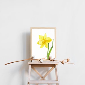 Jonquille/ Illustration botanique/ Mois de naissance Fleur / Impression /Décoration intérieure/ Art mural (Téléchargement instantané)