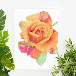 May include: A framed watercolor print of a rose in shades of orange and red. The rose is the focal point, with detailed petals and green leaves. The artwork is set against a white background, with green foliage accents.