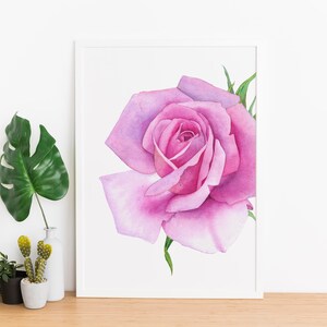 Pink Rose Botanical Illustration/ Print /Home Decoration/ Wall art (Instant Download)