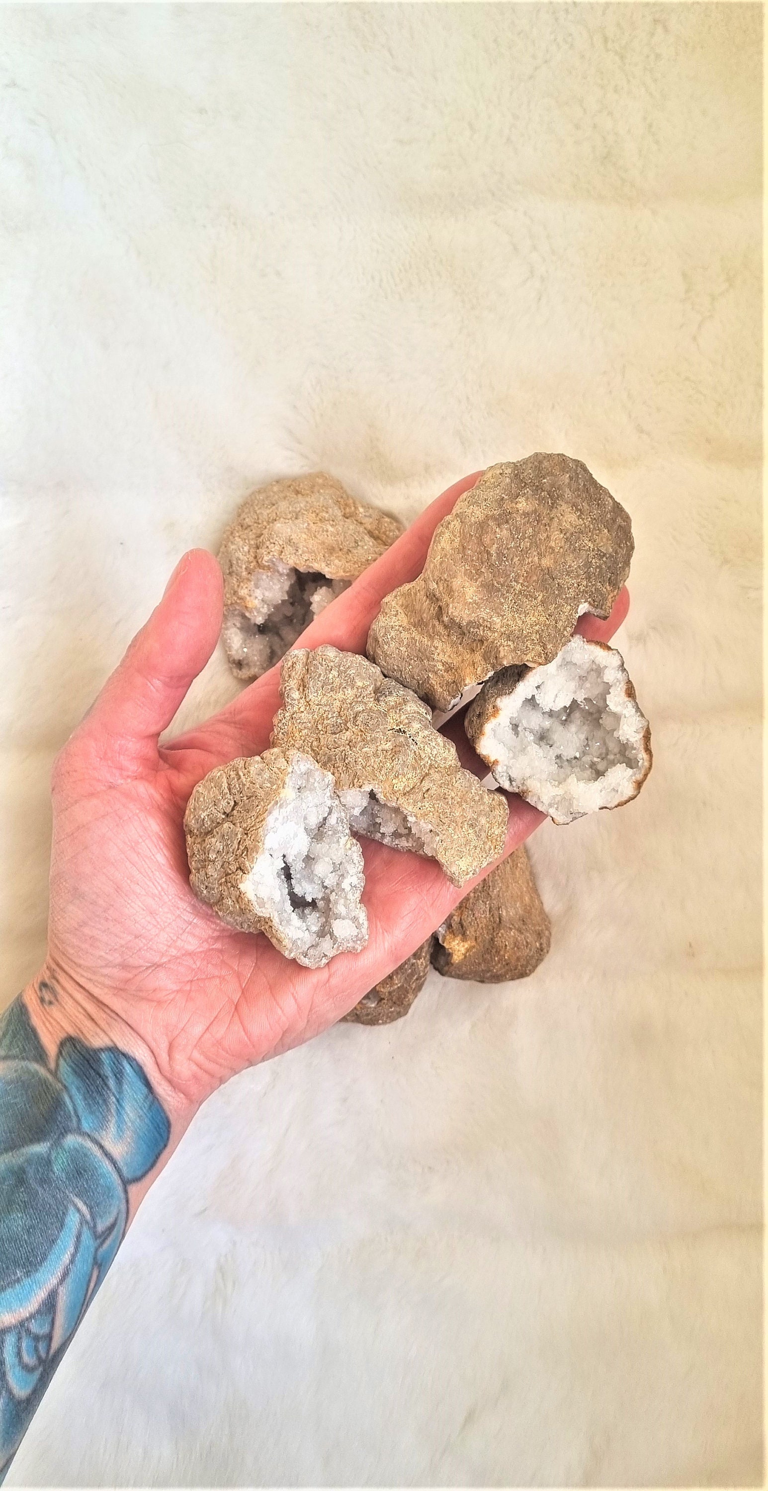 Quartz Crystal Geode Pairs - Geode Pieces - Geode Halves - druzy spar…