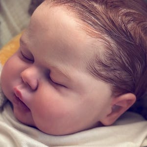 Reborn pickle by Nikki Johnston, reborn baby doll, reborn baby doll, reborns, custom reborn, christmas gifts, realistic dolls, unique gift