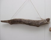 Strong And Thick Driftwood 24 39 39 (61cm) Driftwood Piece , Driftwood Art , Beach Decor , Wall Hanging , Home Decor , Driftwood Wall Decor