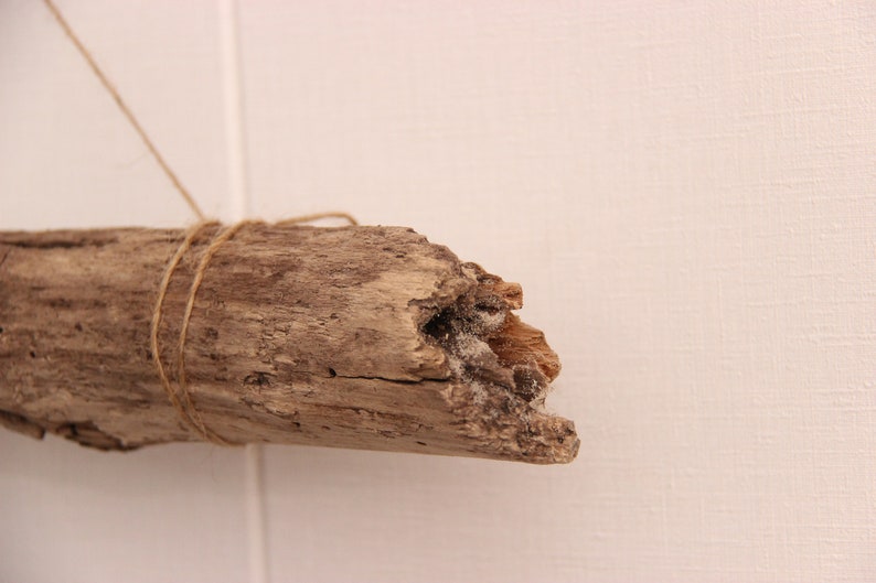 Long Driftwood For Macrame /& Weaving Craft Driftwood Thick Driftwood Piece 22/'/' Airplant Holder 55,5cm Rounded Airplant Mobile