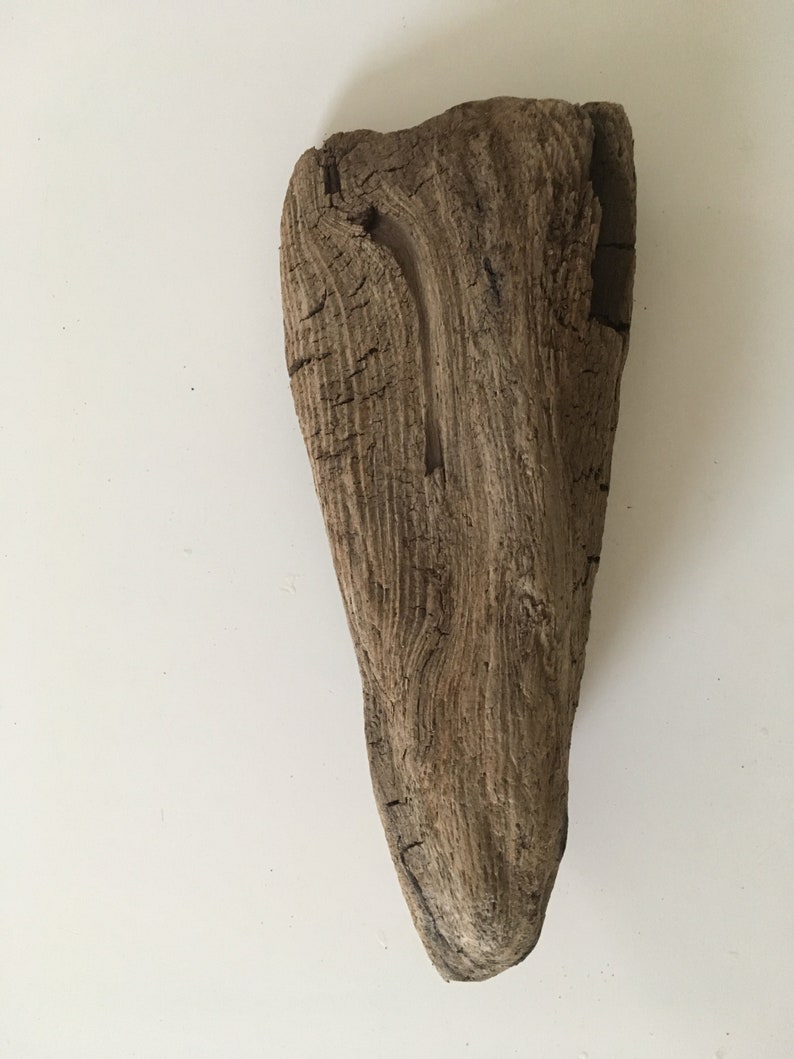 17,5cm Triangle Driftwood Air Plant Holder 7/'/' Driftwood Mobile Beach Decor Small Table Decor Wood Planter Air Plant Stand DIY