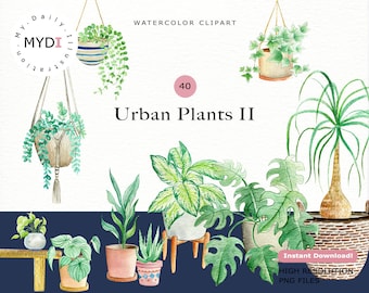 Aquarel kamerplant clipart in png inclusief monstera stickers, kamerplant boho clipart, plant lady clipart en plant stickers -