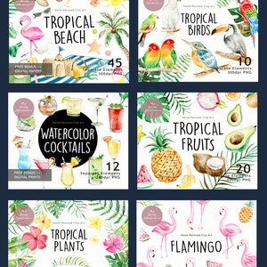 K&ouml;nnte beinhalten: Eine Sammlung von Aquarell-Cliparts mit tropischen Themen. Die Designs umfassen tropische Str&auml;nde, V&ouml;gel, Cocktails, Fr&uuml;chte, Pflanzen und Flamingos. Jedes Set enth&auml;lt mehrere separate Elemente, ideal f&uuml;r digitale Projekte.