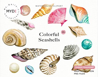 Watercolor Shell Clipart | Nautical, Beach, Sea Clipart - Instant Download - Scrapbooking