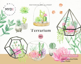 Watercolor succulent in terrarium clipart set in png files digital download for scrapbook album and planner stickers