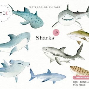 Wasserfarben Hai Clipart Set für die Haifischwoche und nautische Einladung, Planer Stickers, Scrapbook Album und mehr