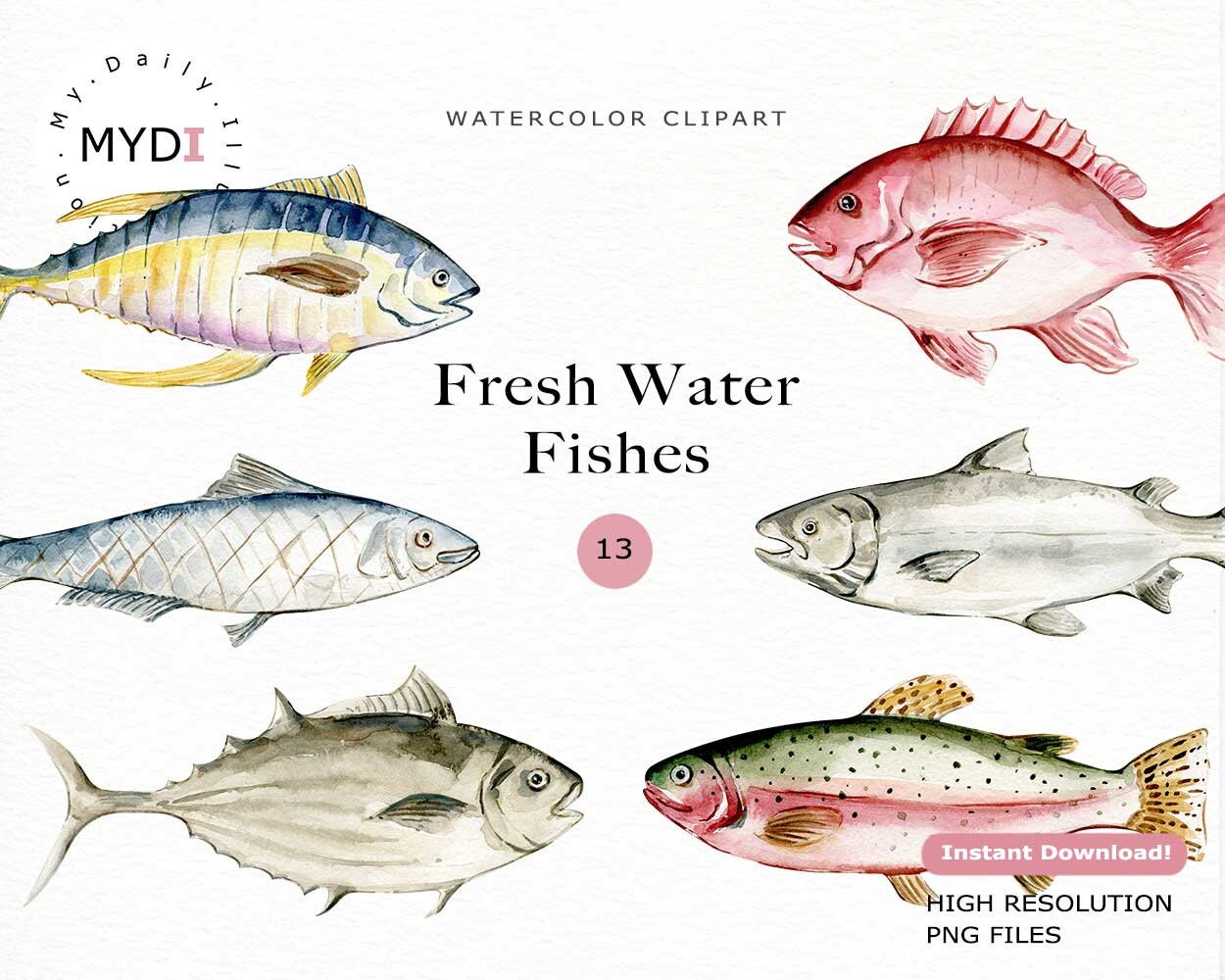 Watercolor fish clipart in png that included fresh water fish, perfect for digital planner, scrapbook album and planner stickers