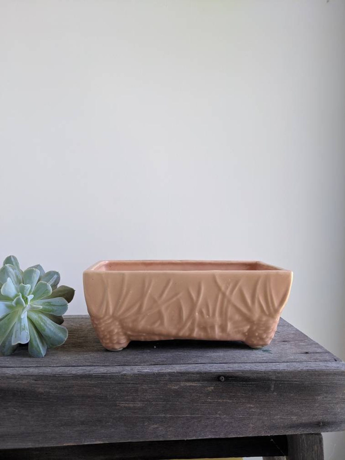 mccoy pinecone planter