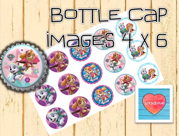 Paw Patrol everest skye printables 4x6 1 circles | Etsy