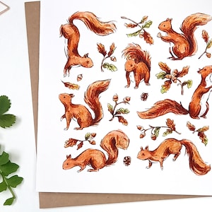 Biglietto di auguri illustrato con scoiattoli e ghiande - Woodland Wildlife