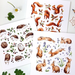 Tarjetas de felicitación ilustradas de vida silvestre del bosque (juego de 3): conejos, erizos y ardillas - Arte original