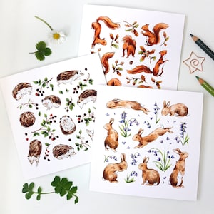 Cartes de voeux illustrées sur la faune des bois (lot de 3) - Lapins, hérissons et écureuils