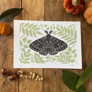 May include: A black and white moth print on a white background with a light green leaf pattern. The print is on a wooden surface with decorative pumpkins, leaves, and acorns. The word "moth" is printed on the bottom left.