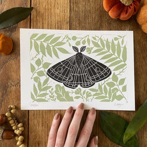 May include: A black and white moth print on white paper, set against a light green botanical background. The word "moth" is printed in the lower left corner. The print is displayed on a wooden surface with decorative pumpkins and leaves.