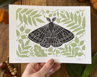 Original 'Moth' lino print, prints, home & living, home decor, wall art, botanical, insect print, emperor moth, insect lovers, nursery decor