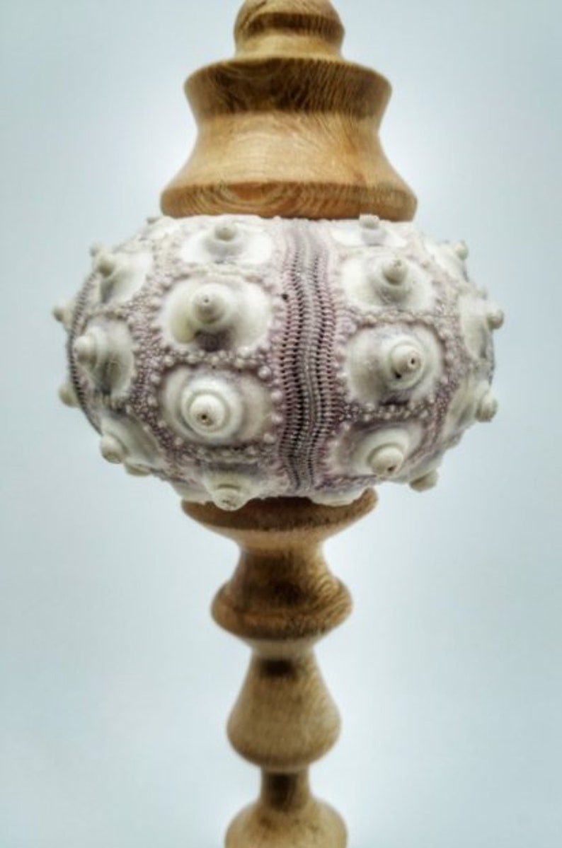 decorative Christmas ornament Sea Urchin Ornament hand Made turned wood OOAK
