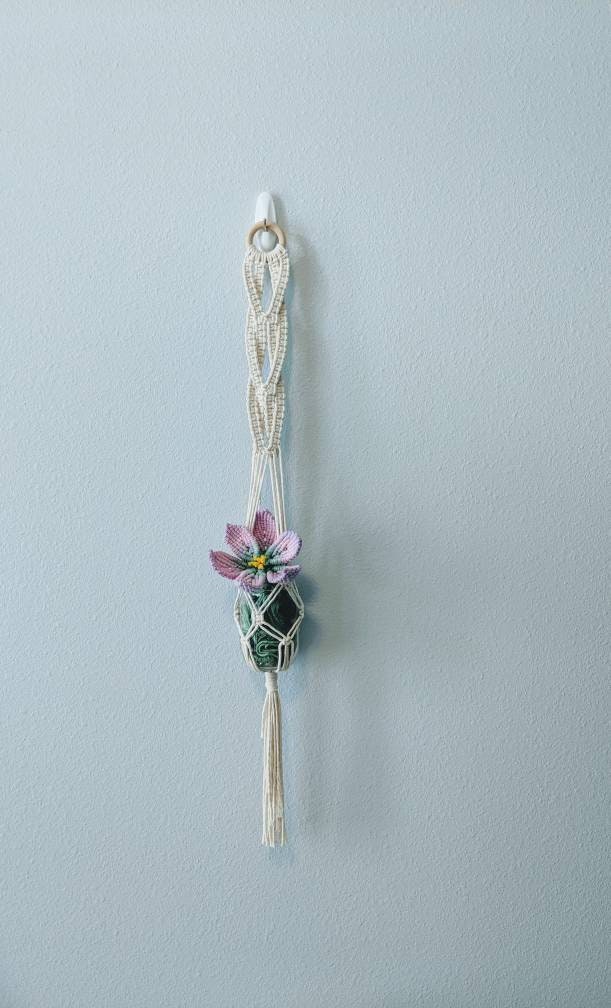 indoor trailing jade plant Trailing Jade – VI Plant Shop main image 0