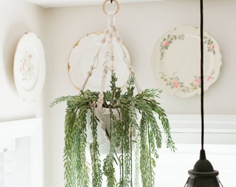 Macrame Plant Hanger