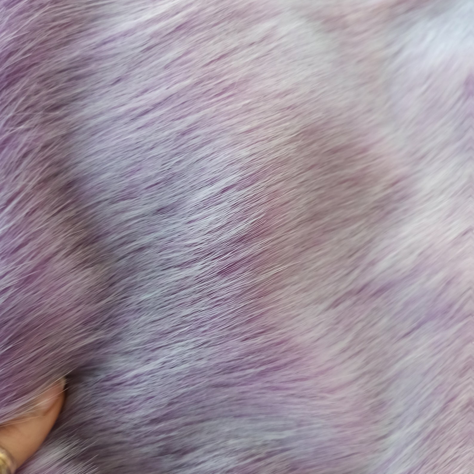 arctic fox purple af arctic fox purple af