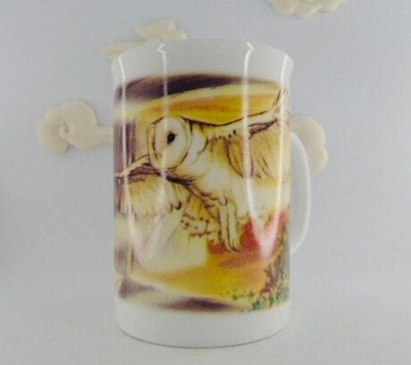 National Geographic barn owls mug